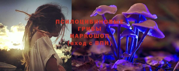 а пвп мука Горно-Алтайск