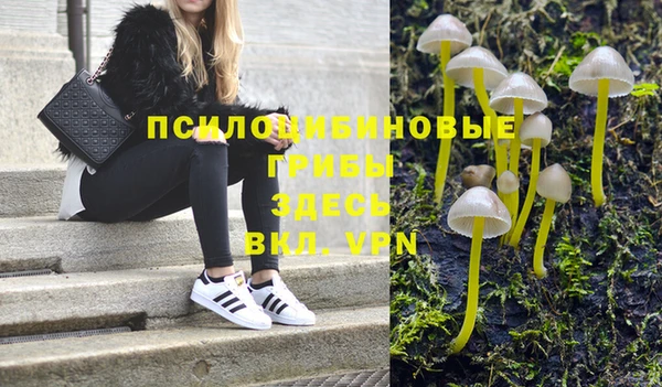 а пвп мука Горно-Алтайск