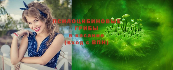 кокс Вяземский